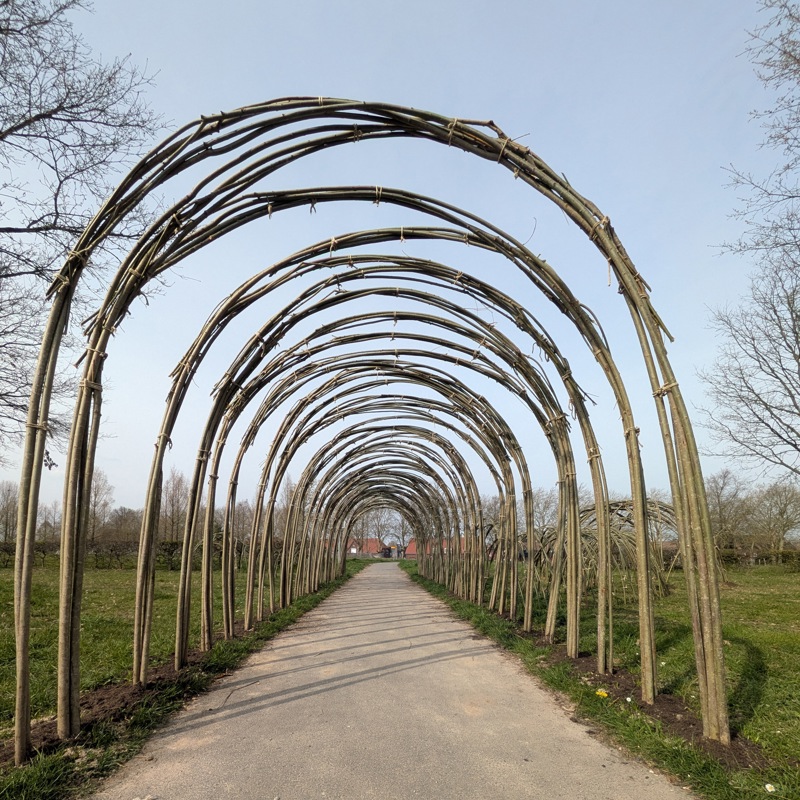 De tunnel gemaakt van wilgentakken in het emmapark met een pad eronder 