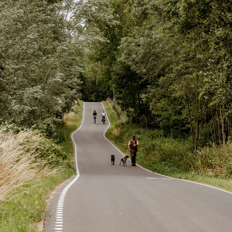 Voetgangers en fietsers tegelijk aan het recreëren op de Parkstadroute.