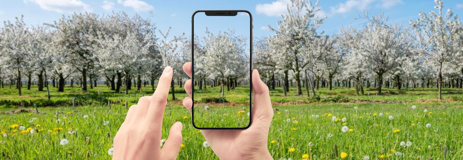 Smartphone Lente Foto Safari in het Land van Kalk