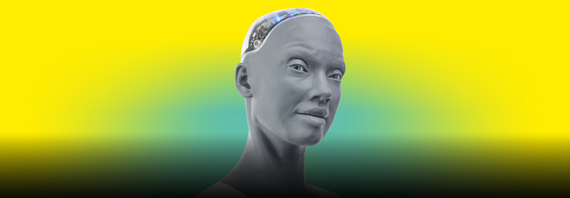 Ai: de expo