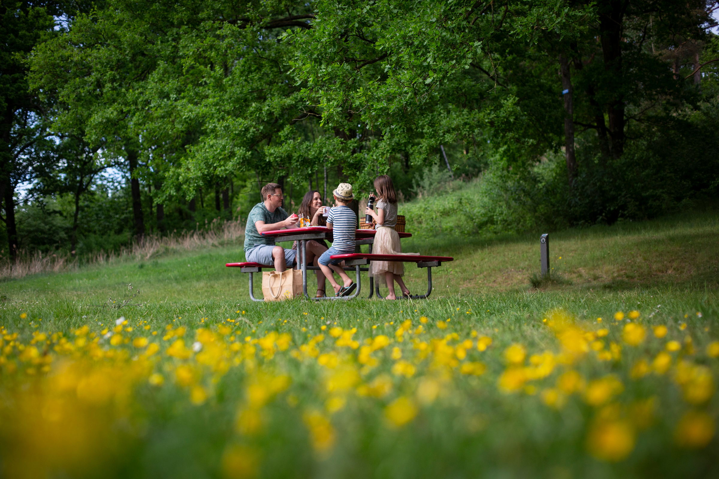 Wandelroute Brunssum - Rondje Schutterspark 