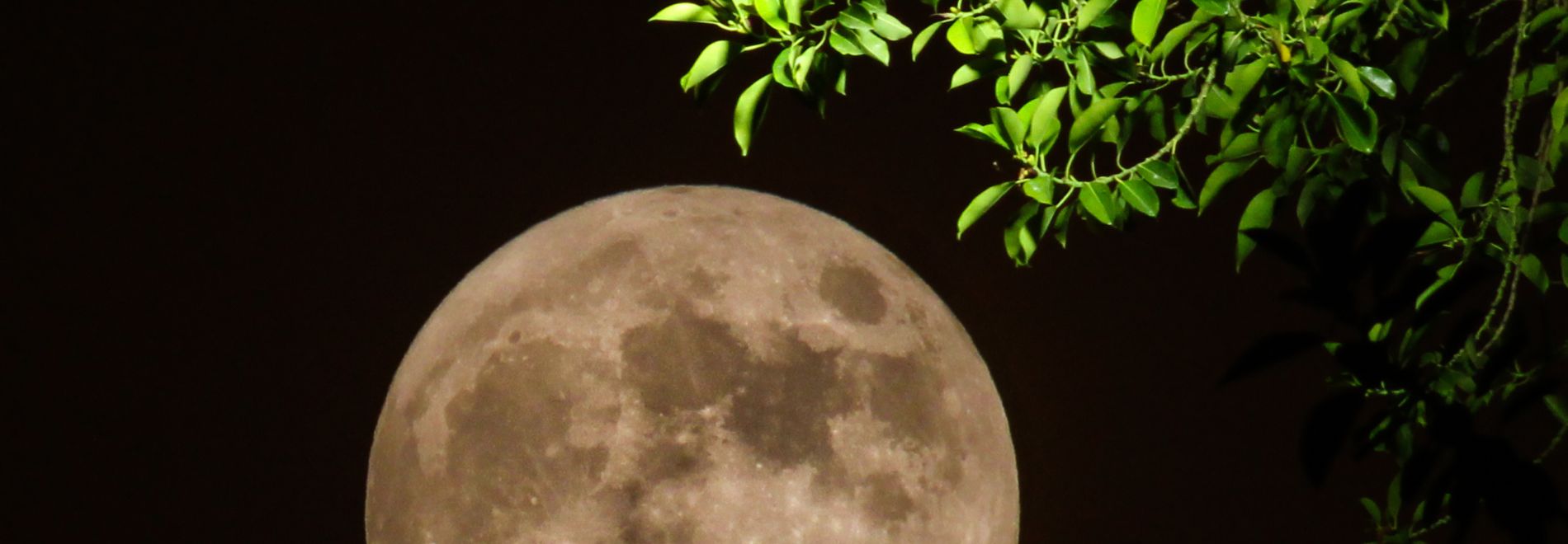 Vollemaan Wandeling met Astrologische Uitleg