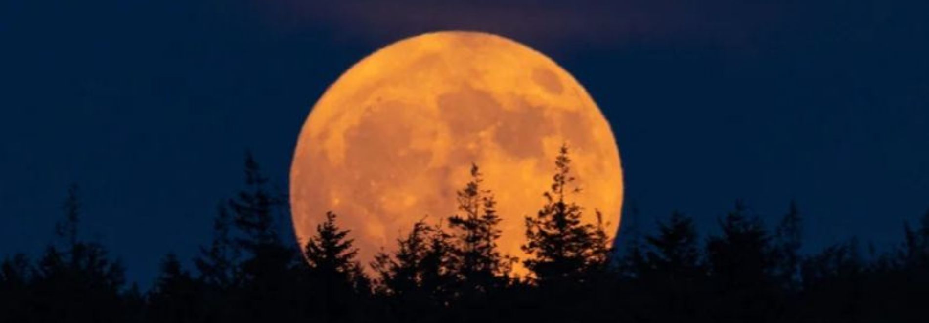 Vollemaan Wandeling met Astrologische Uitleg